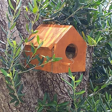 农家乐 Casas Coracao