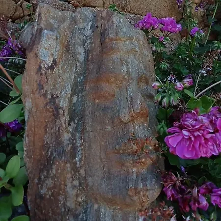 农家乐 Casas Coracao Codecoso