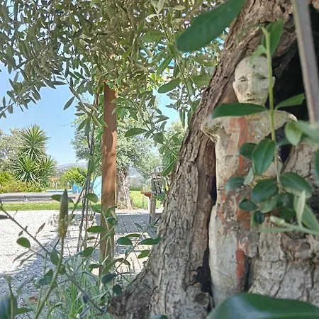 Casas Coracao 팜스테이 *