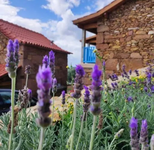 Feriegård Casas Coracao Codecoso