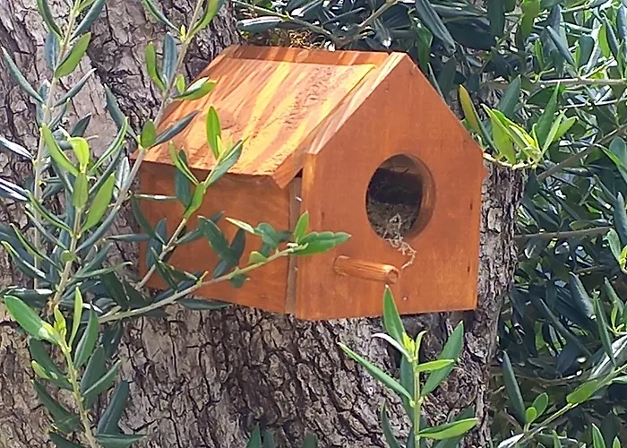 Feriegård Casas Coracao