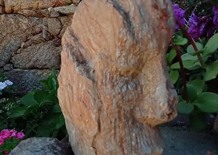 Feriegård Casas Coracao