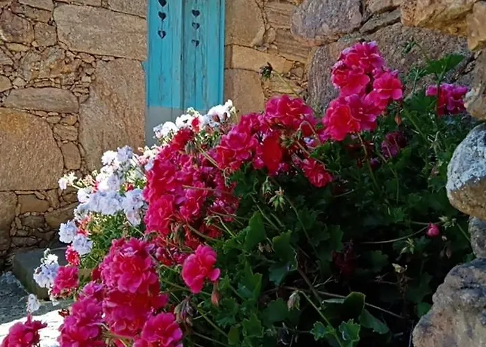 Casas Coracao * Codecoso