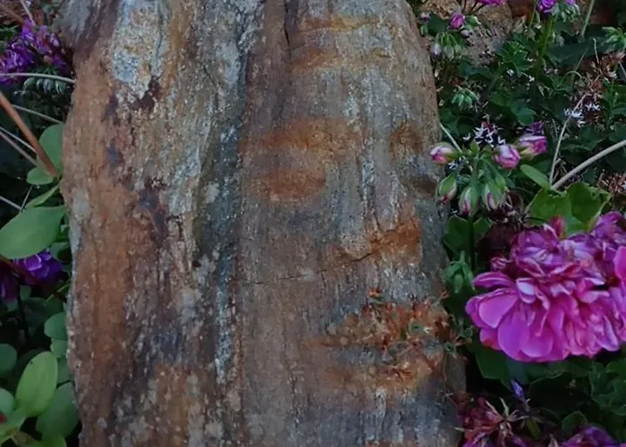 Feriegård Casas Coracao Codecoso